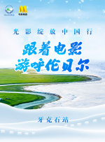 chinese国产精品