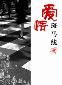 久久亚洲精品欧美
