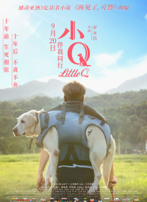 av片资源
